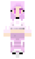surroundting minecraft skin