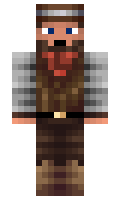 has minecraft skin