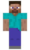 IndiaSupporter minecraft skin