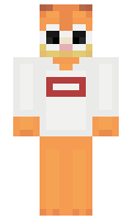 chunk minecraft skin