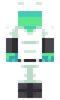 blakearmanimicro minecraft skin