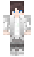 070e1c6e90350e minecraft skin