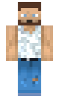 SoloLupus minecraft skin