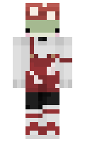 07497a0e63d49b minecraft skin