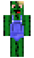 1Build minecraft skin