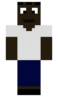 076bce406841c5 minecraft skin
