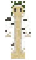 0781514acd32e8 minecraft skin