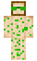 moldypieceobread minecraft skin