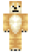 HAPKOMAH minecraft skin
