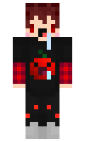 ira minecraft skin