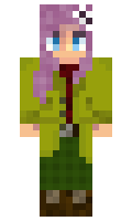 07f96e23c14b33 minecraft skin