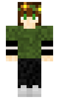 0803d4f2602b2a minecraft skin