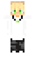 08136d96386d0f minecraft skin