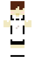 081effefc7caaa minecraft skin