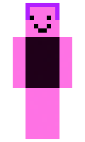 dpw3107 minecraft skin