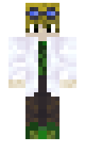 Asbakkie minecraft skin