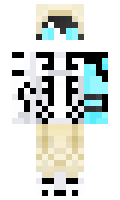 086099ebd98503 minecraft skin