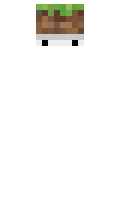 ropt minecraft skin