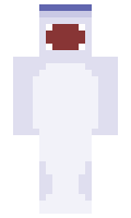 ValeCraft minecraft skin