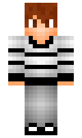 TenTedn minecraft skin