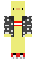 088460dcd60e73 minecraft skin