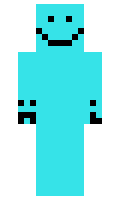 088d6f2048ac1c minecraft skin