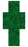 RobzCraft minecraft skin