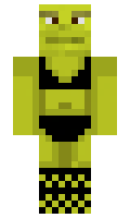 08cdd3a56291f1 minecraft skin