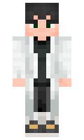08d245313369ff minecraft skin