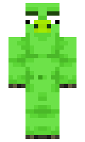 sketeris minecraft skin