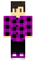 090173aeb52ce2 minecraft skin