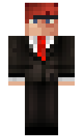 Gogogagababy minecraft skin