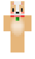 crazyferrett69 minecraft skin