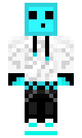 sasha250300 minecraft skin