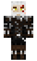 094d118fc52ff9 minecraft skin