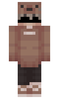 csigneT minecraft skin