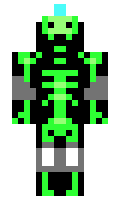 Rayyaan minecraft skin