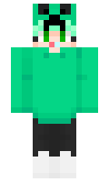 wlrndls12 minecraft skin