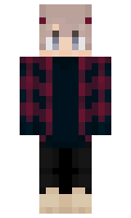 MINTER minecraft skin