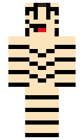 ZebraZoomer minecraft skin