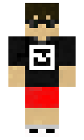 ElytraUnlimited minecraft skin