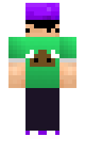 09d209d25cc19f minecraft skin