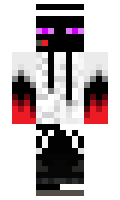 BitPaw minecraft skin