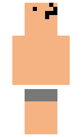 Salgidor minecraft skin