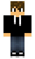 5119 minecraft skin