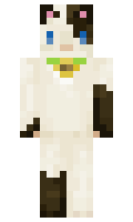 ROLPRZEM minecraft skin