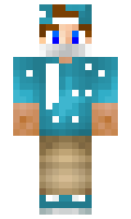 disk minecraft skin