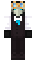 0a6c5e2c2ce7e3 minecraft skin