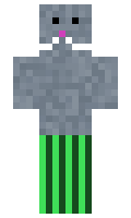 Thekingofgnats minecraft skin