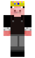 technobled minecraft skin